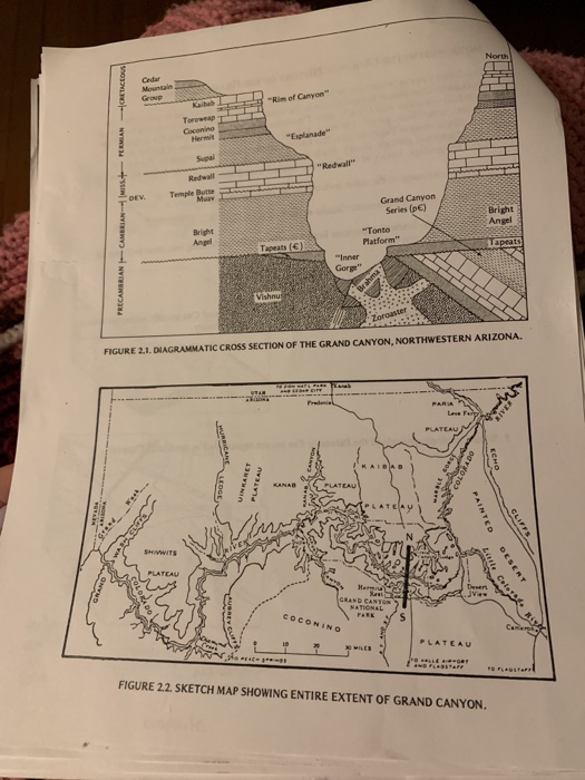 Solved INTERPRETING THE GEOLOGIC HISTORY OF THE GRAND CANYON | Chegg.com