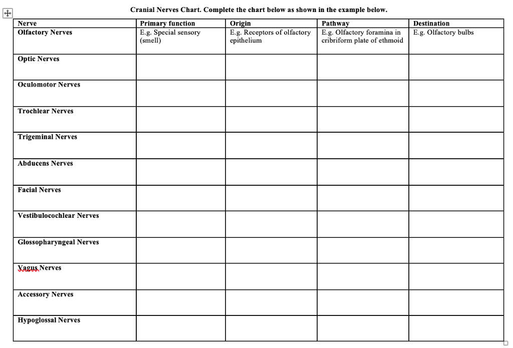 Solved Cranial Nerves Chart. Complete the chart below as | Chegg.com