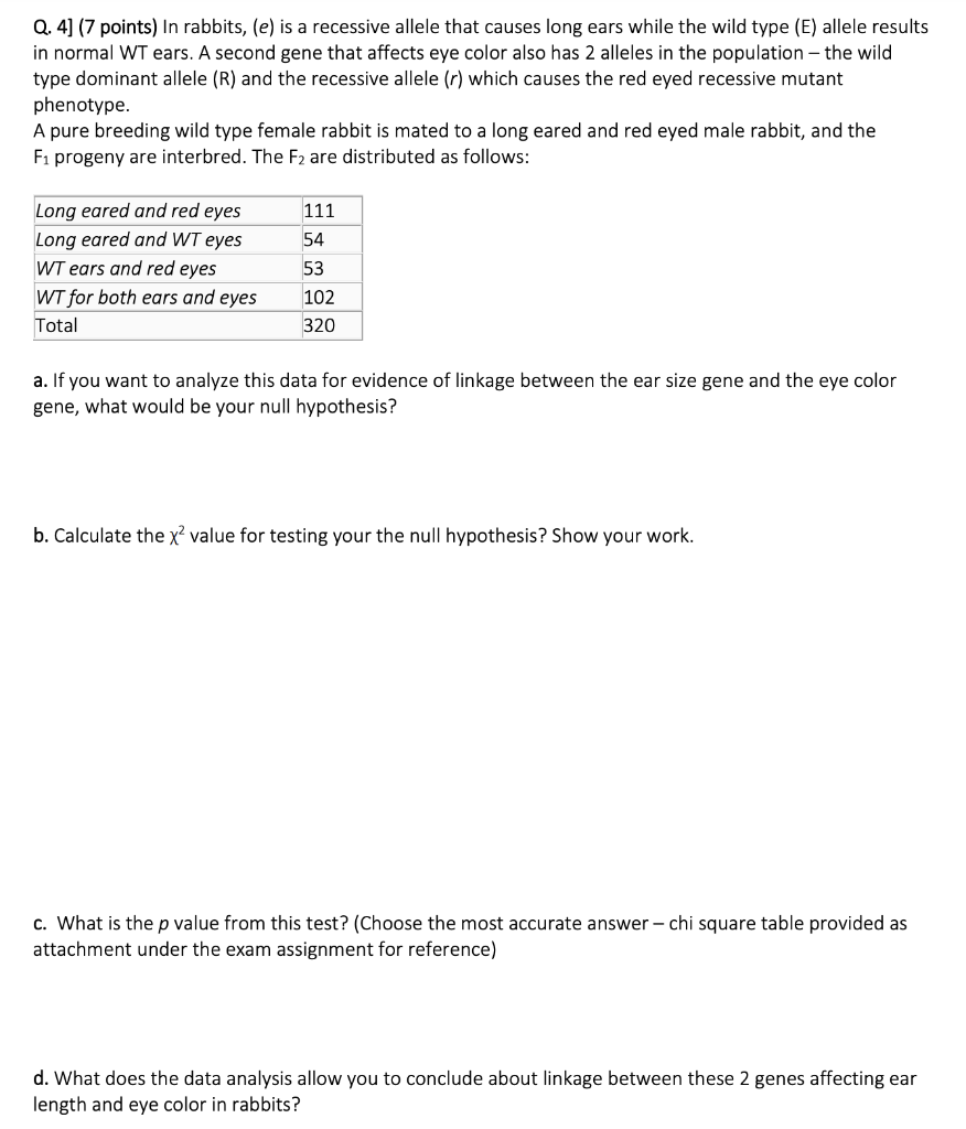 Solved Q. 4] (7 points) In rabbits, (e) is a recessive | Chegg.com