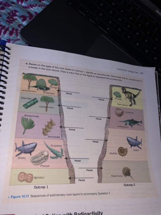 Sedimentary Rock Layers With Fossils