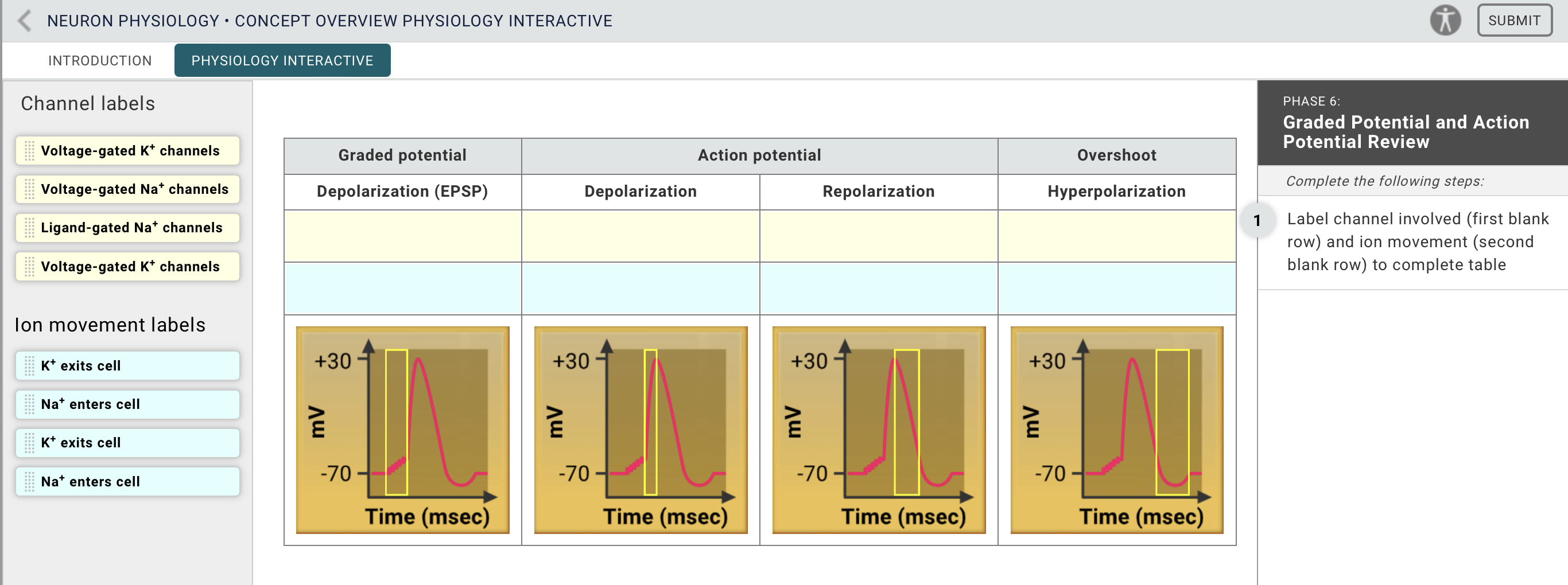 Conceptual Overview of Sections — NEURON 7.7 documentation