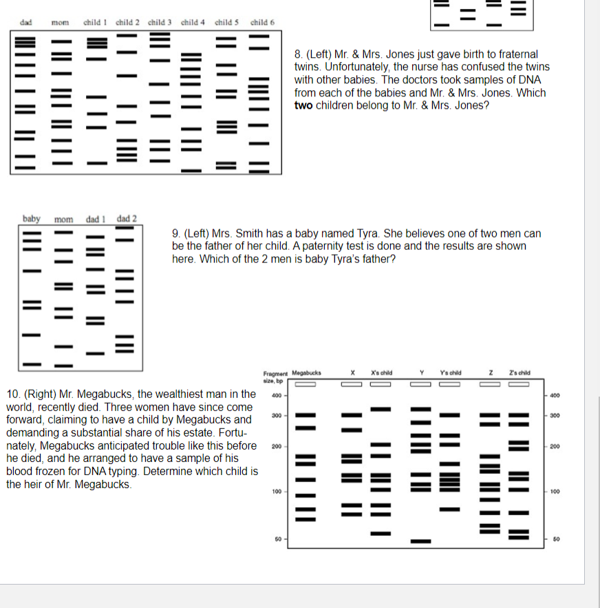 Solved 8. (Left) Mr. \& Mrs. Jones just gave birth to | Chegg.com