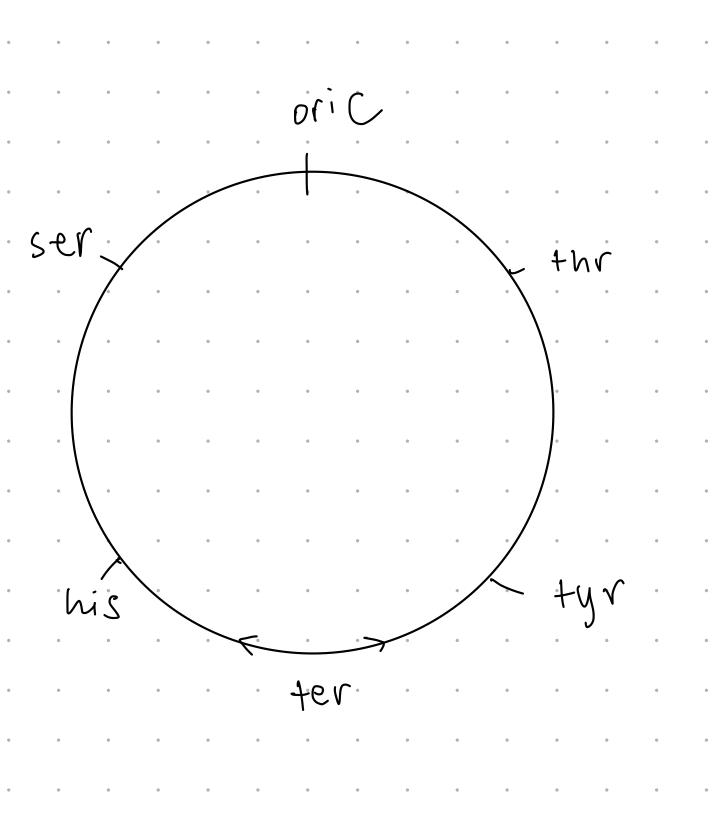 Solved Above is a F plasmid place where an OriT and Tra Chegg