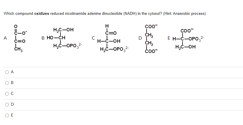 Which compound oxidizes reduced nicotinamide adenine dinucleotide (NADH) in the cytosol? (Hint: Anaerobic process)
A
B
\( \ma