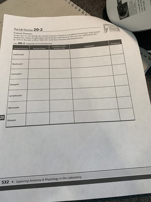 Solved PreLab Exercise 202 Formed Elements element has
