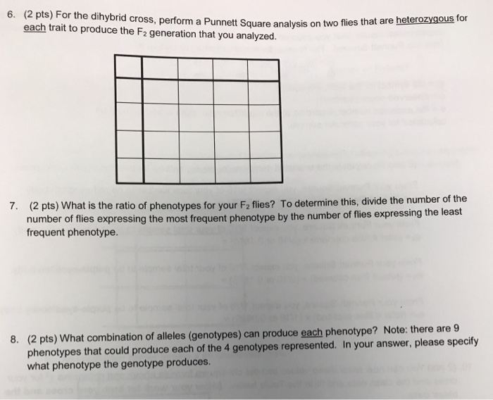 Solved 6. (2 pts) For the dihybrid cross, perform a Punnett | Chegg.com