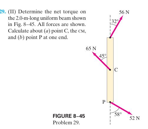 Solved 56 N 29. (II) Determine the net torque on the | Chegg.com
