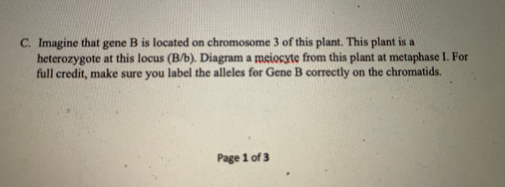 Solved C. Imagine That Gene B Is Located On Chromosome 3 Of | Chegg.com