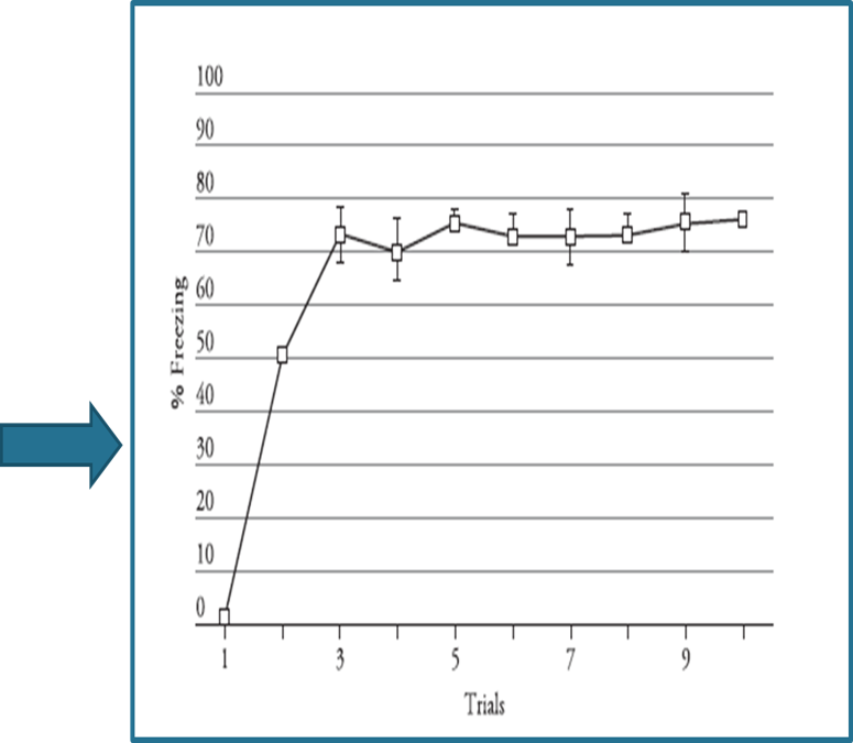 rat electric shock experiment was done in which conditioning