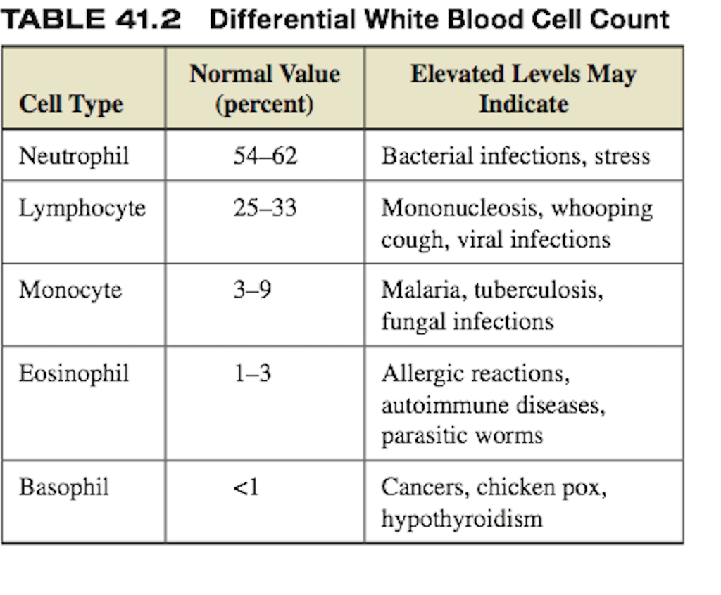 low-wbc-count-pregnancy