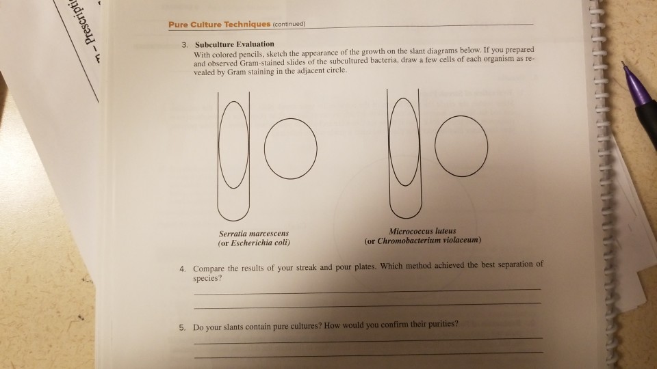 Solved Pure Culture Techniques (continued) 3. Subculture
