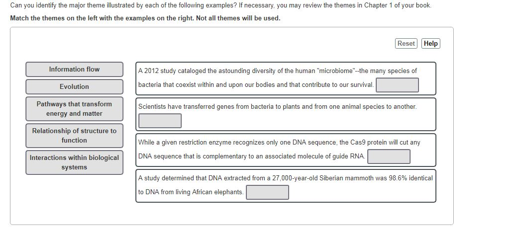 solved-can-you-identify-the-major-theme-illustrated-by-each-chegg