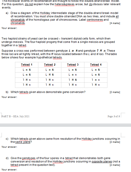 Solved The Molecular Events Of Recombination Are Thought To | Chegg.com