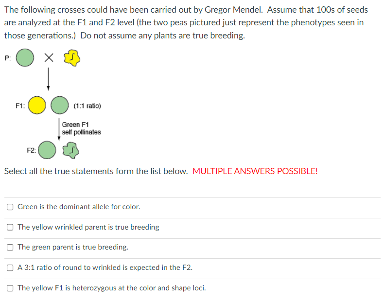 Solved The Following Crosses Could Have Been Carried Out By | Chegg.com