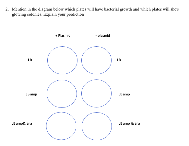 Solved 2. Mention in the diagram below which plates will | Chegg.com