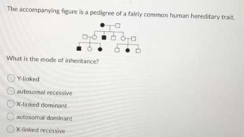 Solved The accompanying figure is a pedigree of a fairly | Chegg.com