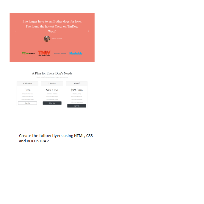 Solved A Plan for Every Dog's Needs Create the follow flyers | Chegg.com
