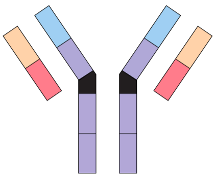 Indicate The Following Parts On Figure 3.1: 