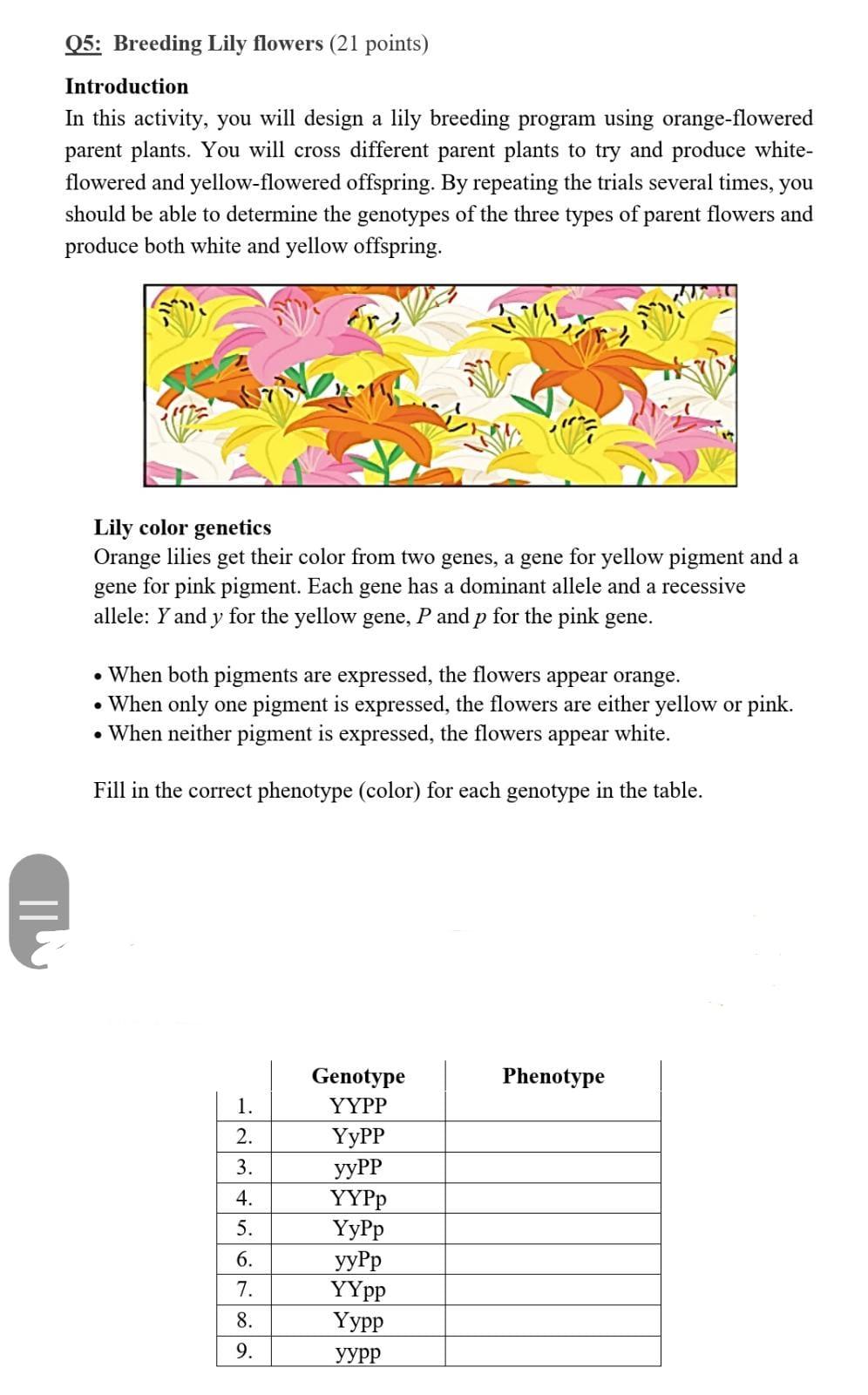 Solved Q5 Breeding Lily flowers (21 points) Introduction In