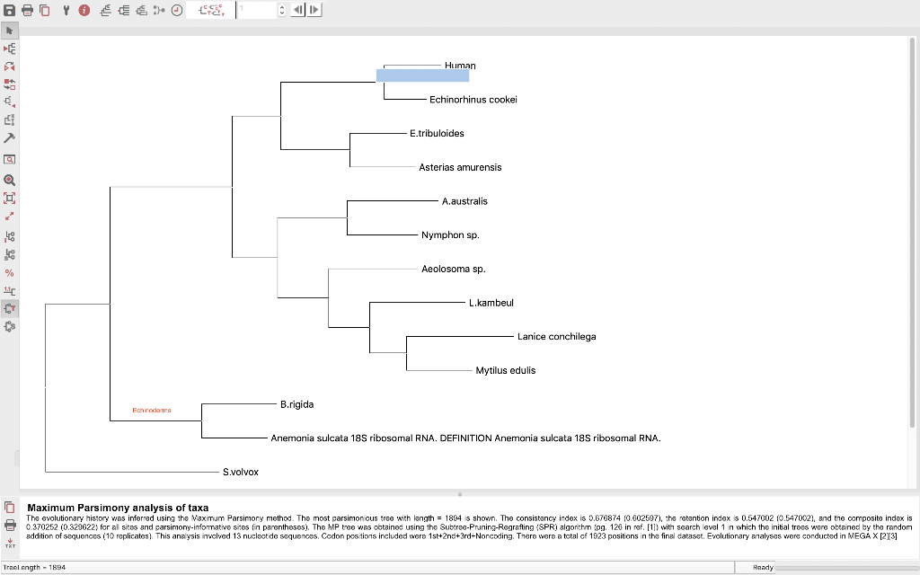 Solved Print out the phylogenetic tree and label these 5 | Chegg.com
