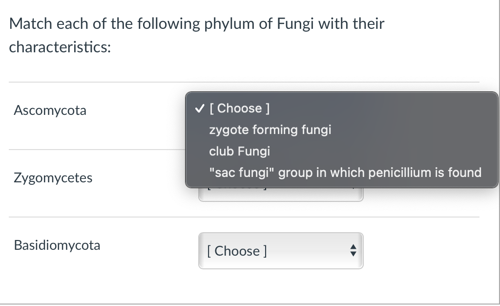 Match Each Of The Following Phylum Of Fungi With Chegg Com