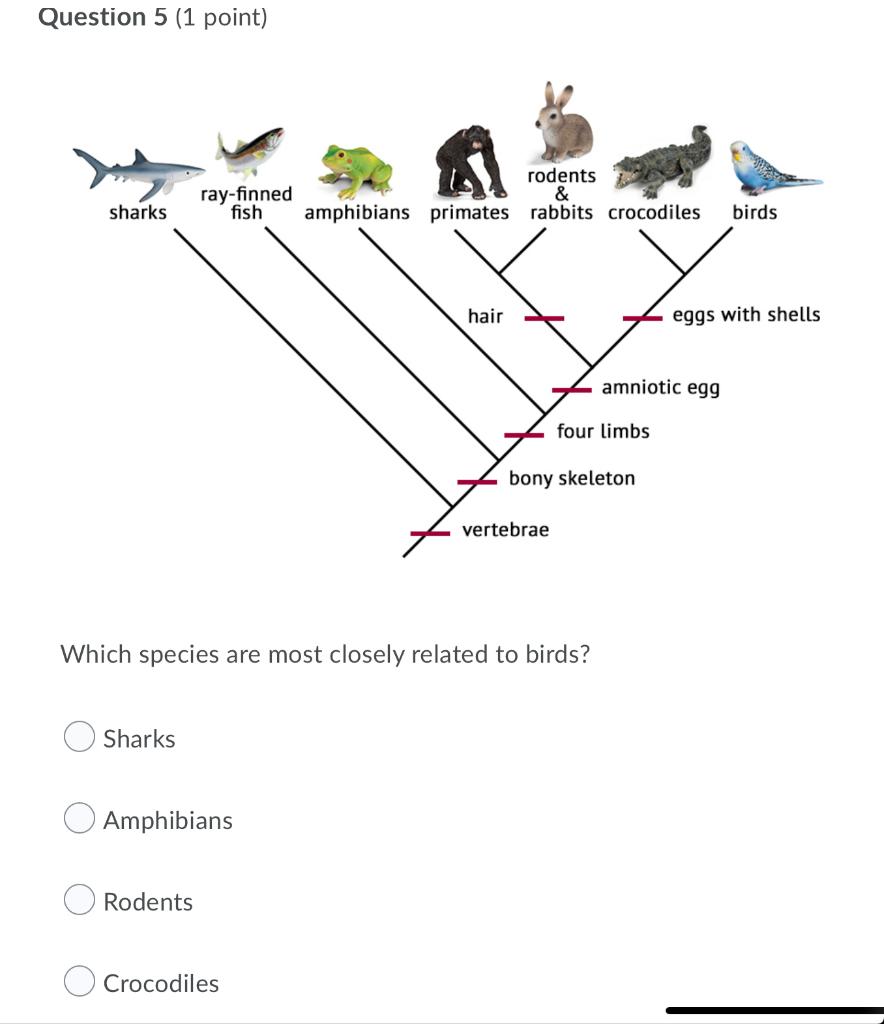 Solved Question 3 (1 point) What term can be used to | Chegg.com