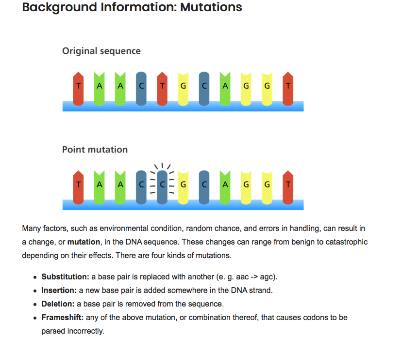 Solved Background Information Mutations Original sequence