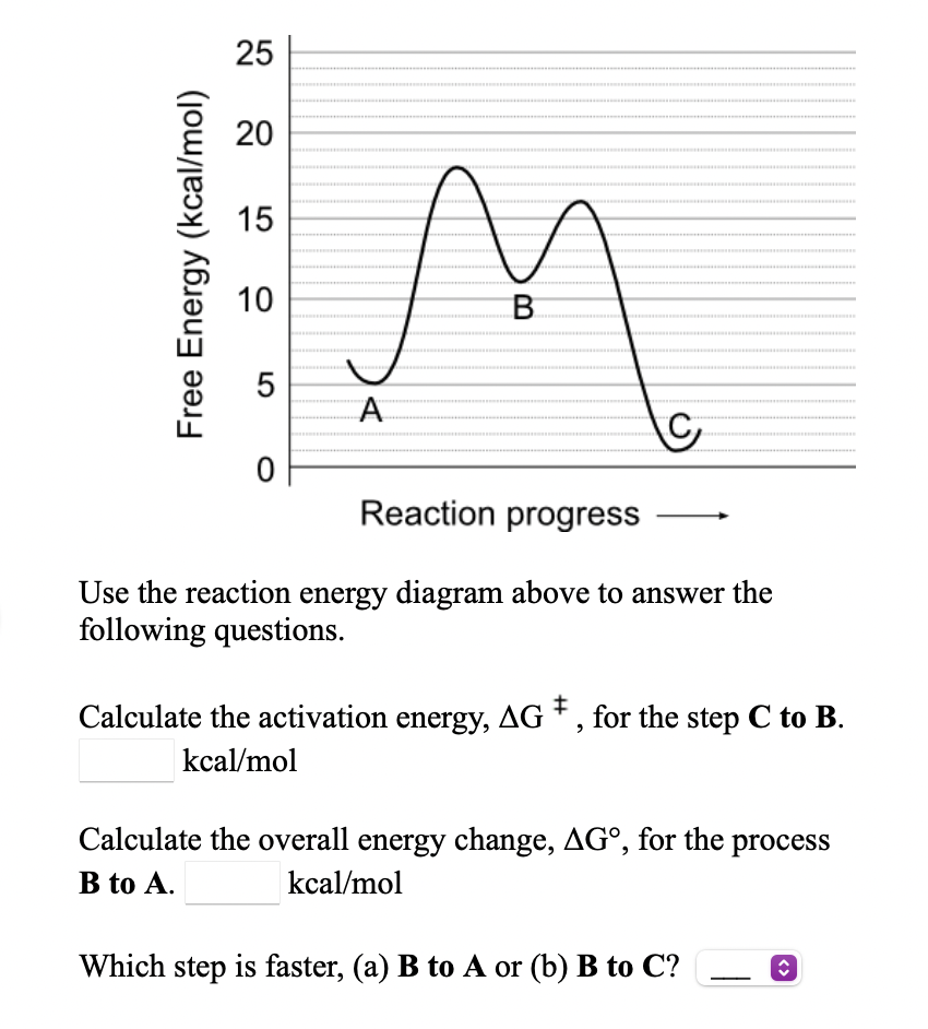 Use the reaction energy diagram above to answer the | Chegg.com