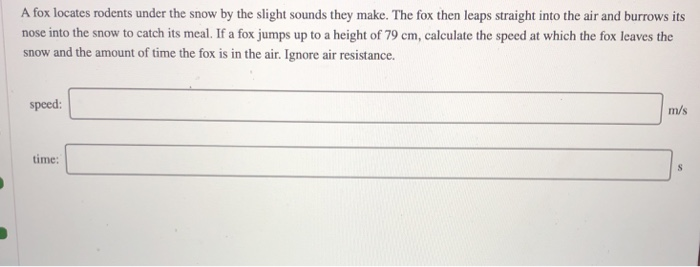 A FOX LOCATES RODENTS UNDER THE SNOW visual data 7