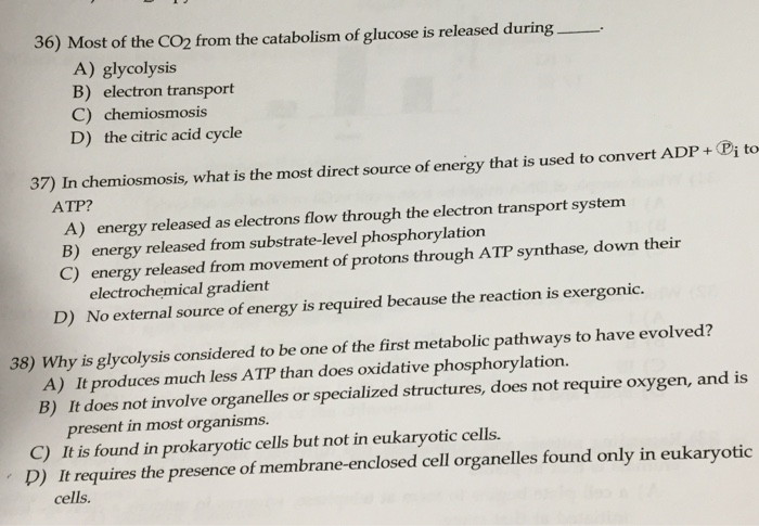 Solved 36 Most of the CO2 from the catabolism of glucose is | Chegg.com