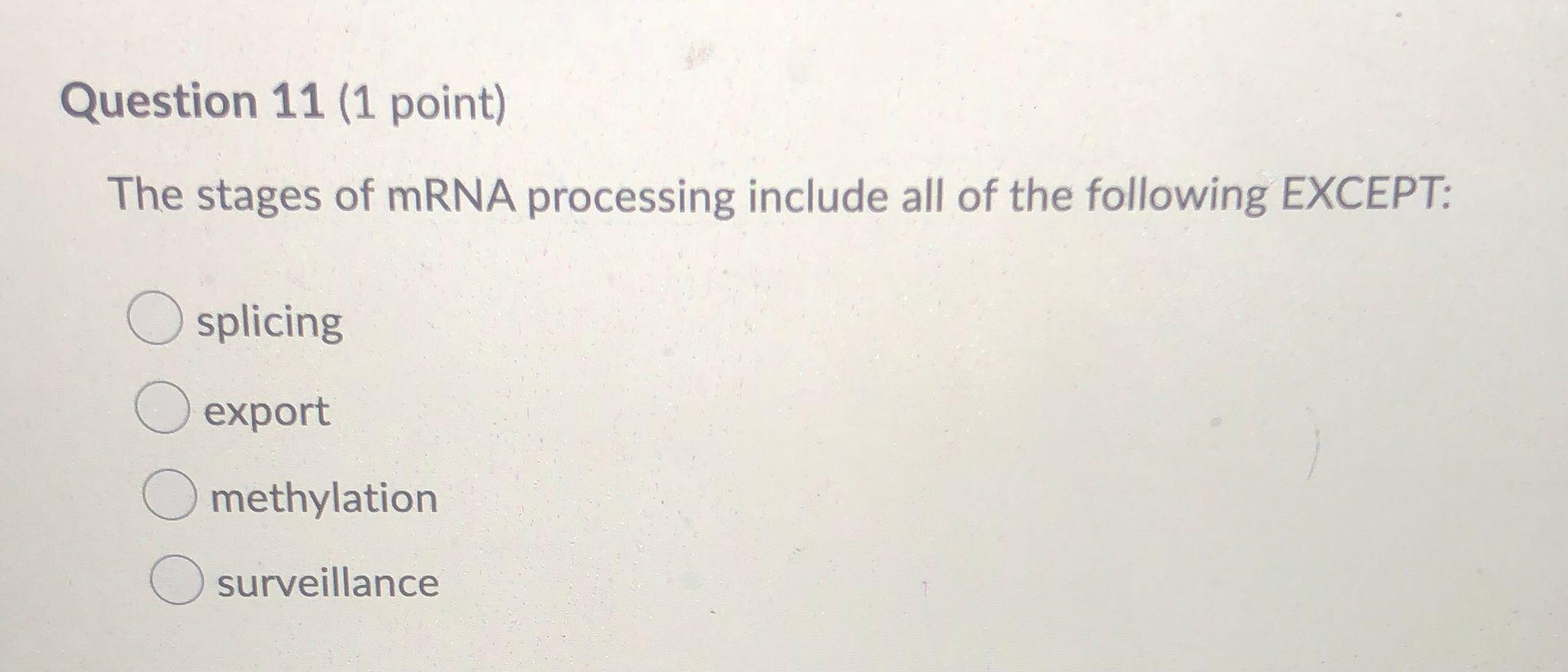 Solved Question 11 (1 point) The stages of mRNA processing | Chegg.com