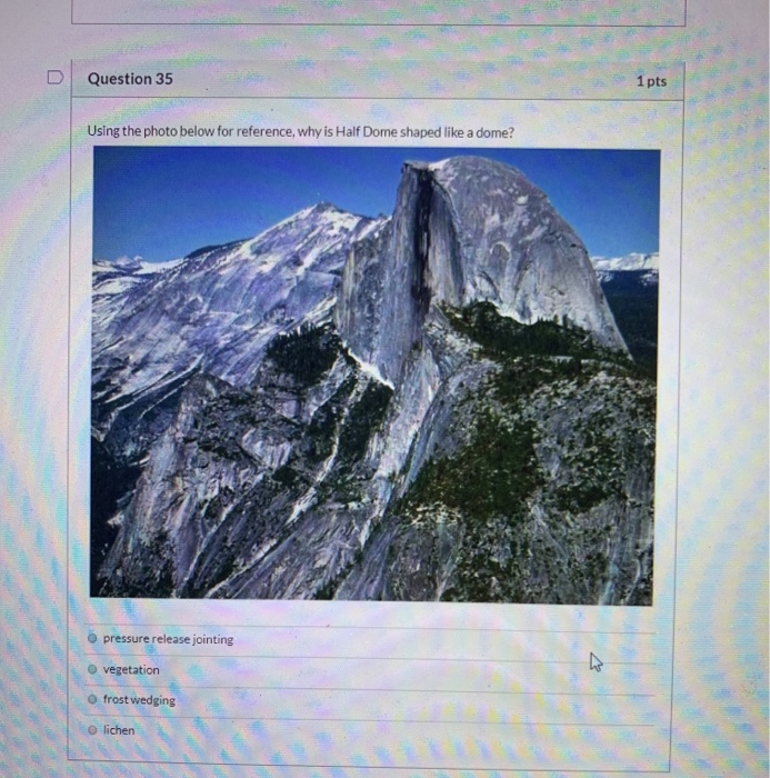 Solved Question 35 1 pts Using the photo below for