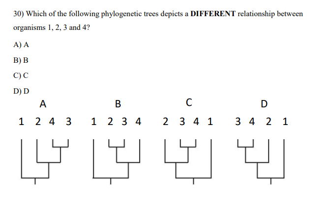 Solved 30) Which of the following phylogenetic trees depicts | Chegg.com