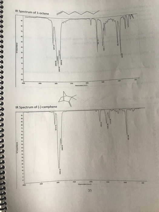 Solved: Activity #5 Infrared Spectroscopy Guided Inquiry L... | Chegg.com
