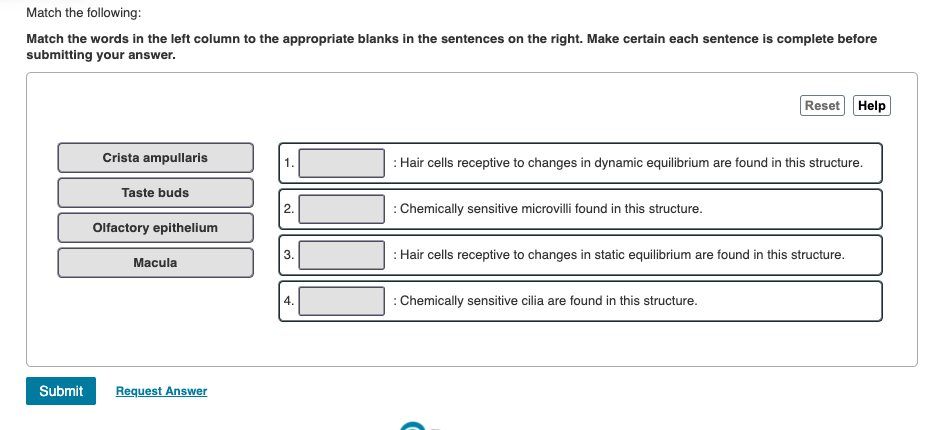 solved-match-the-following-match-the-words-in-the-left-chegg