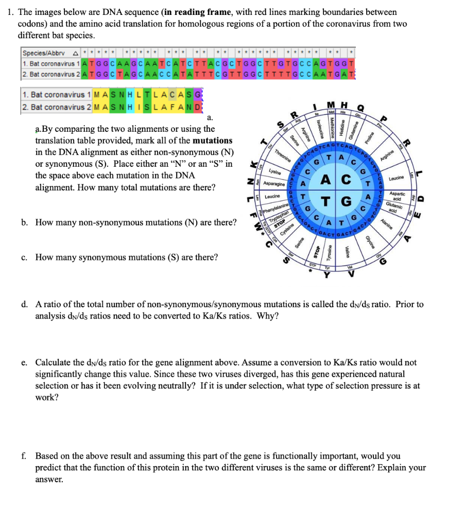 Solved 1. The images below are DNA sequence (in reading | Chegg.com