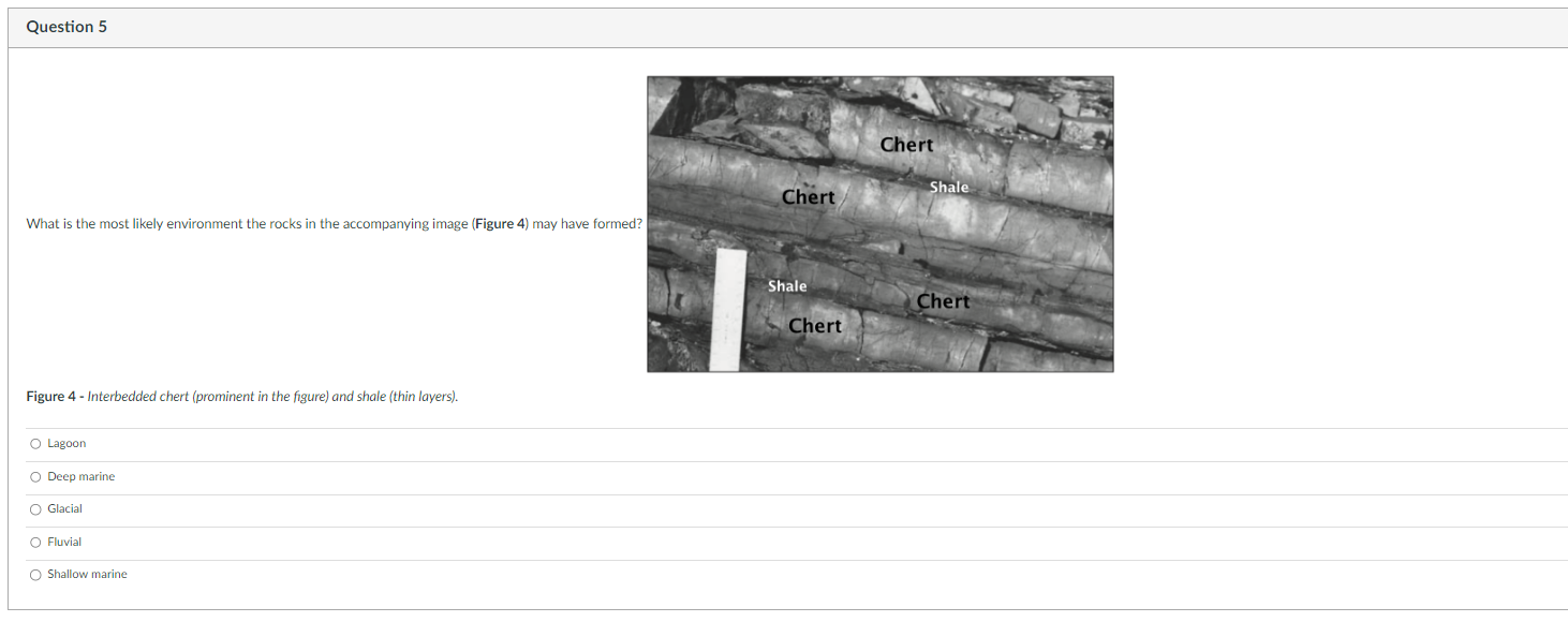Solved What is the most likely environment the rocks in | Chegg.com