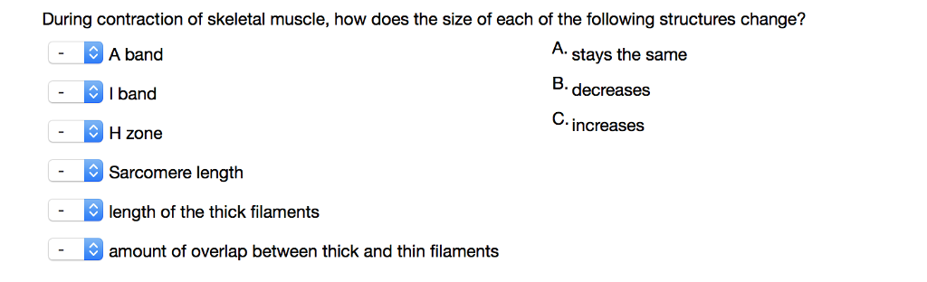 solved-during-contraction-of-skeletal-muscle-how-does-the-chegg