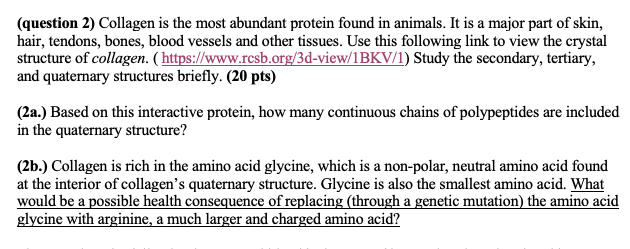 Solved (question 2) Collagen is the most abundant protein 