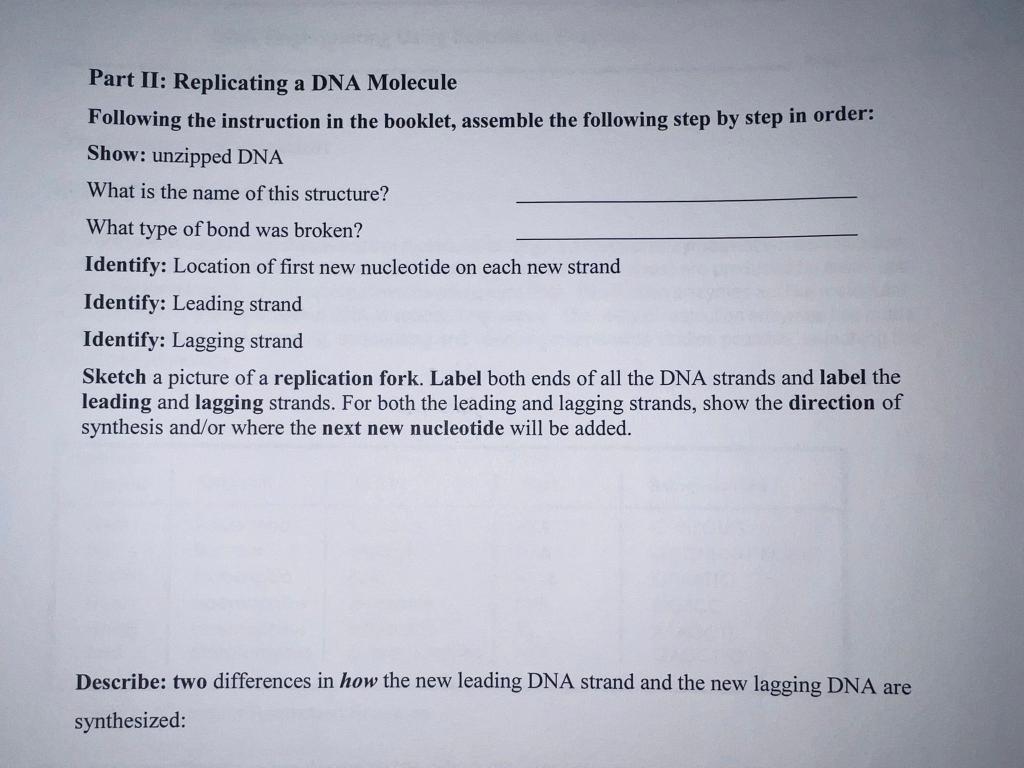 Solved Part II: Replicating a DNA Molecule Following the | Chegg.com