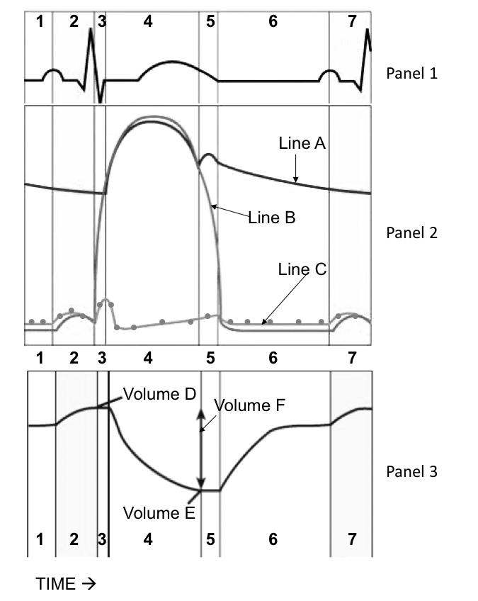 Solved 2 3 4 5 6 Panel 1 Line A Line B Panel 2 Line C 1 2 3 | Chegg.com