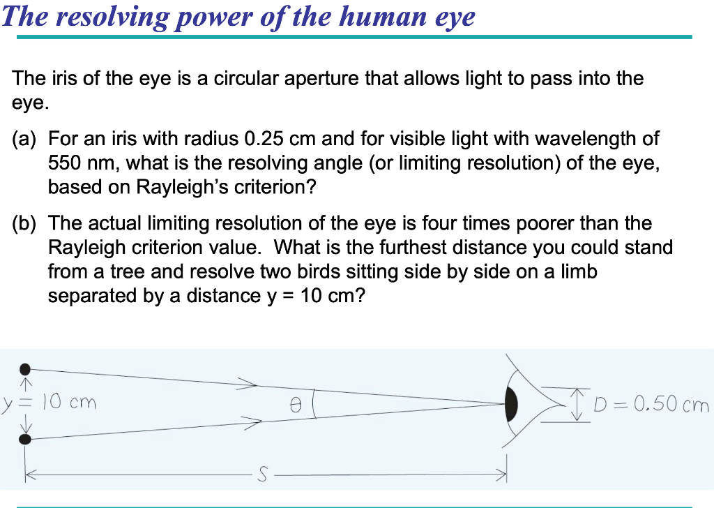 Solved The resolving power of the human eye The iris of the | Chegg.com