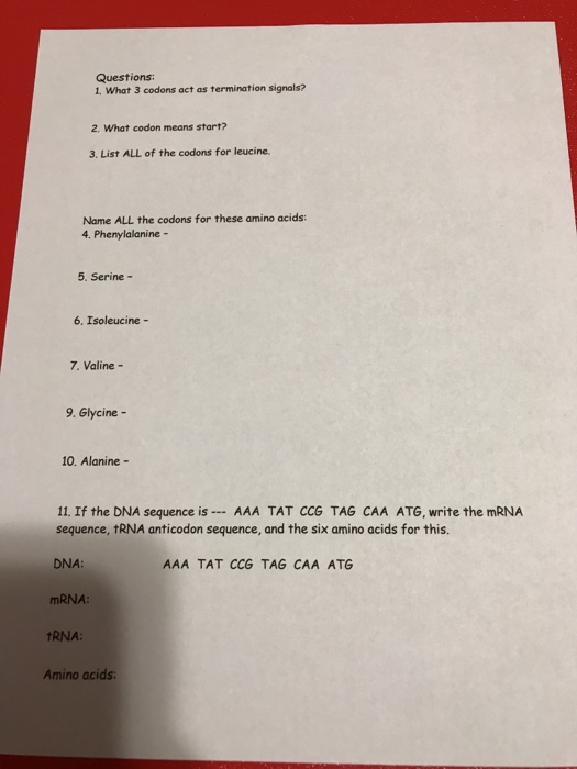 question-questions-1-what-3-codons-act-as-termination-signals-2