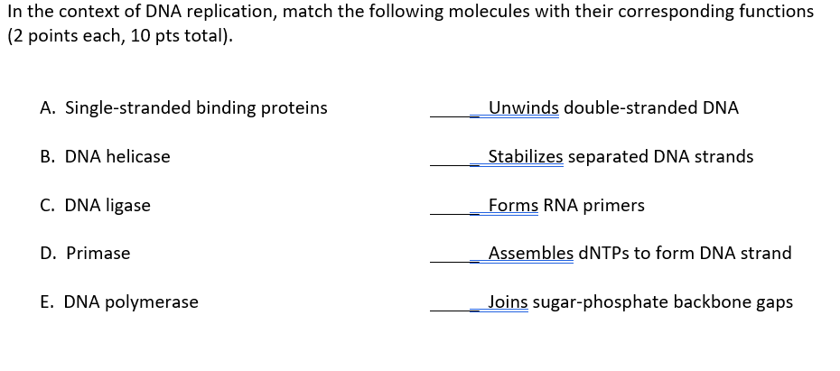 Solved In the context of DNA replication, match the | Chegg.com