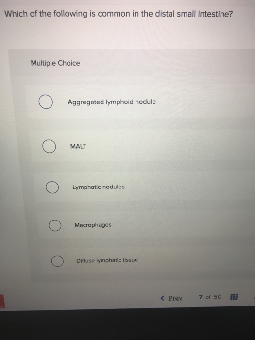 Solved: Which Of The Following Is Common In The Distal Sma... | Chegg.com
