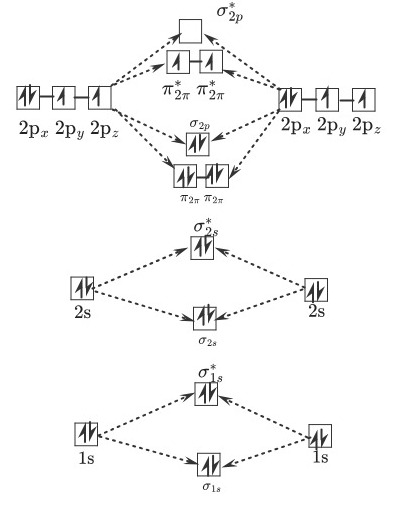 Solved What are the link orders for CN-, CN and CN+? Use the | Chegg.com