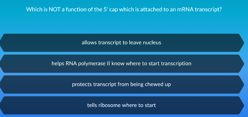 Solved Which is NOT a function of the 5' cap which is | Chegg.com