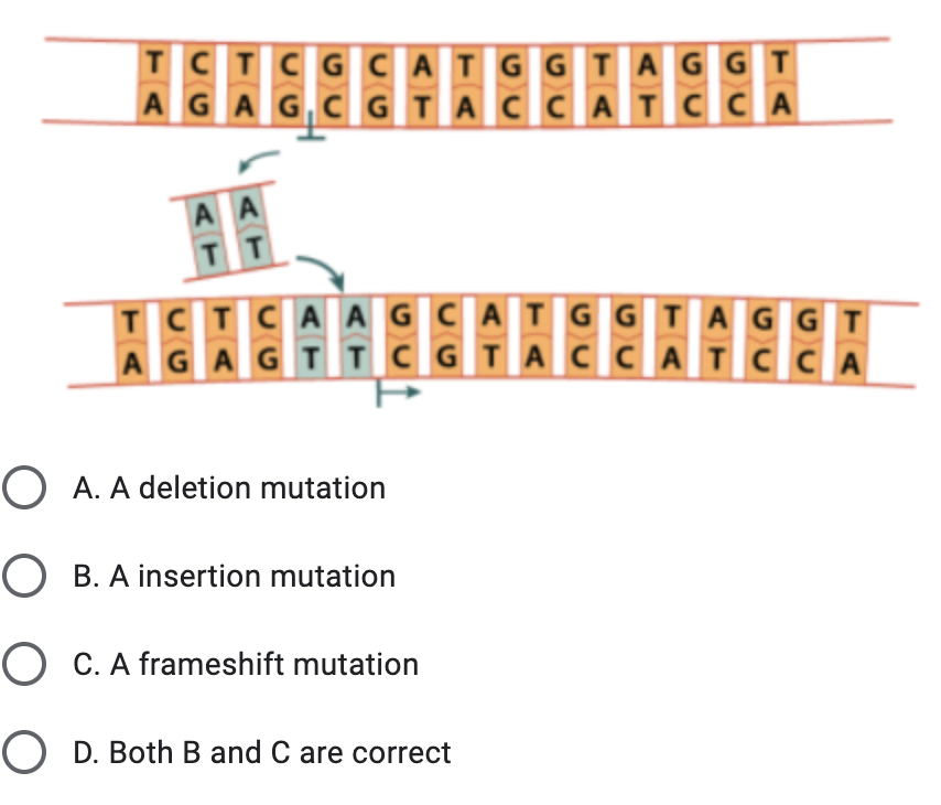 Solved 1. Most mutations that lead to cancer are caused | Chegg.com