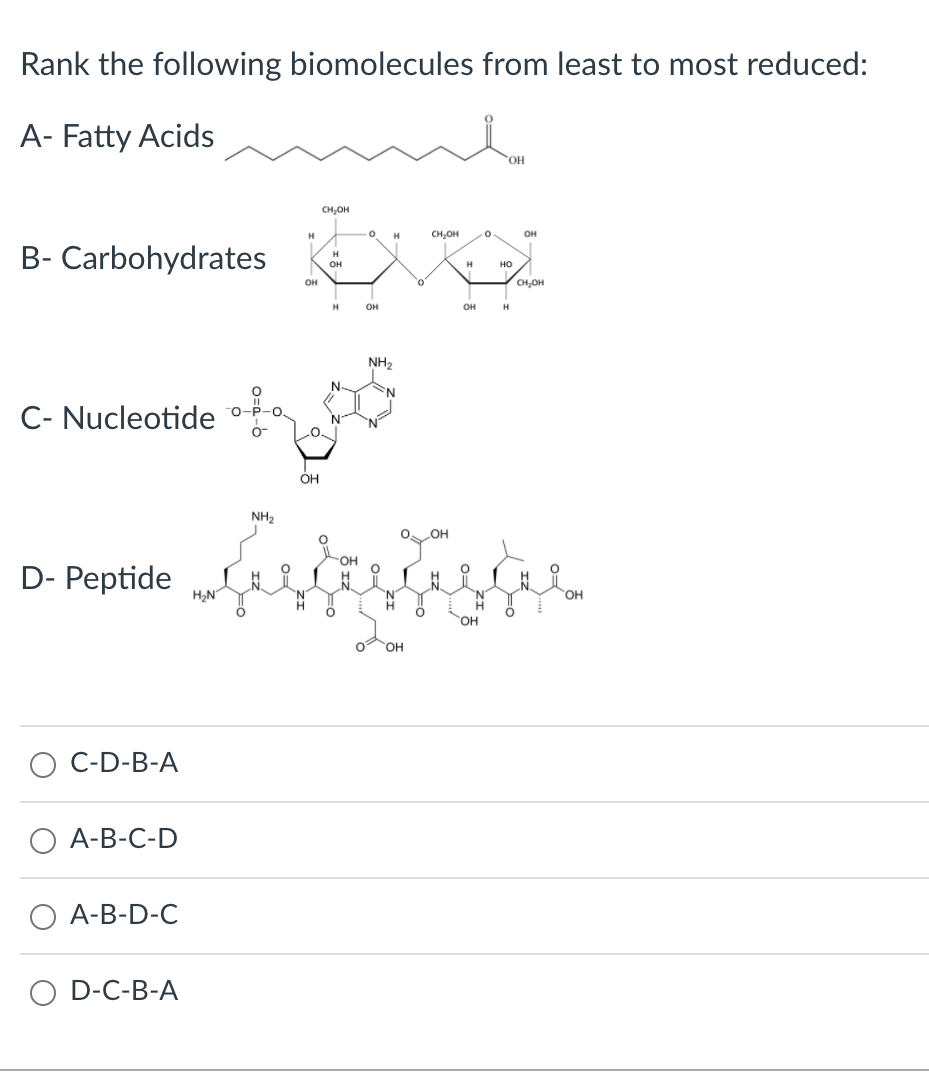 Solved Rank The Following Biomolecules From Least To Most | Chegg.com