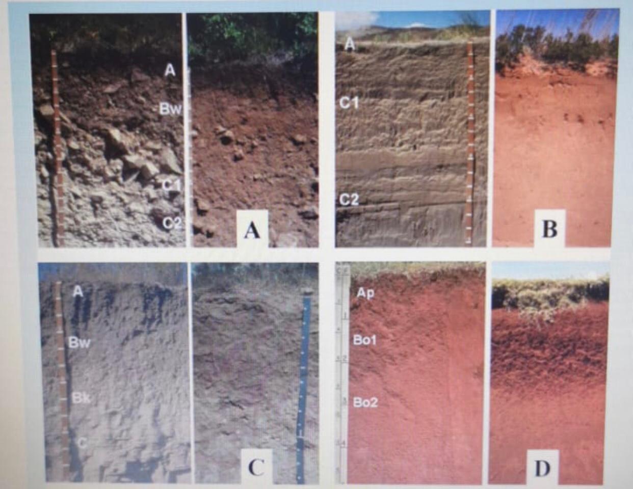 Solved The above soil profiles represent the common soil | Chegg.com